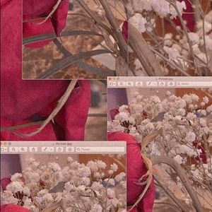 Meet your Posher, Elsie